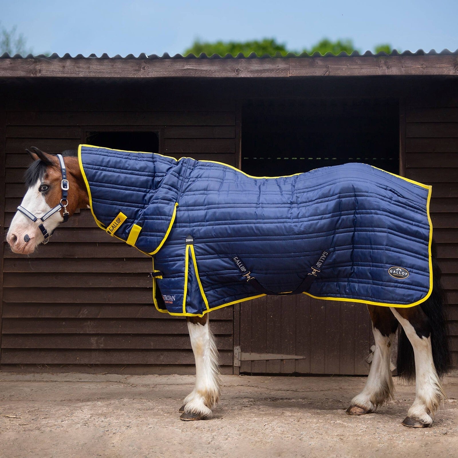 Picture of Gallop Trojan 200g Indoor Stable Rug Full Neck Combo In Navy/Yellow