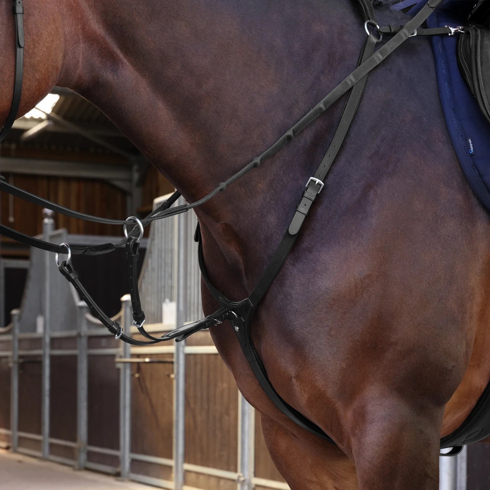 Picture of Shires Velociti LUSSO Elite Breastplate, Black / Havana, 4 Sizes