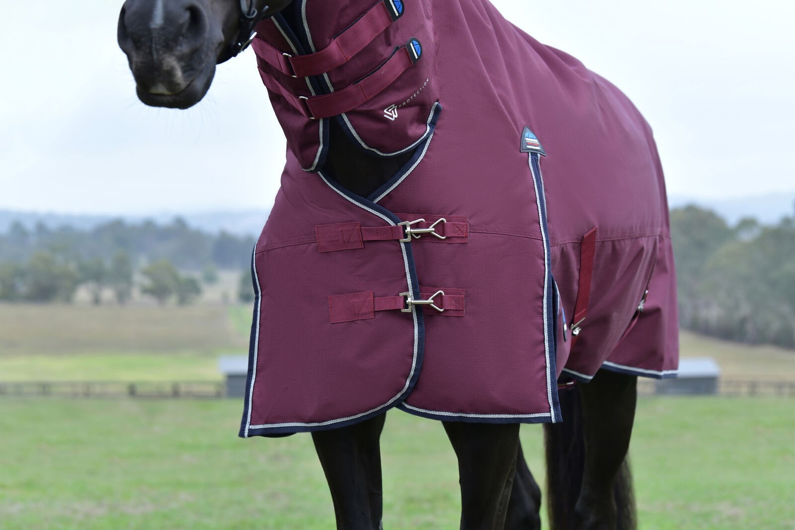 Picture of WEATHERBEETA COMFITEC ESSENTIAL 360G HORSE TURNOUT RUG, FULL NECK COMBO, 1200D
