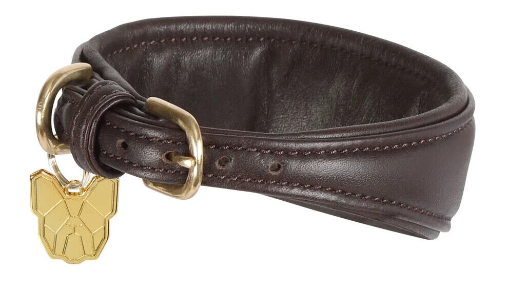 Picture of Shires Digby & Fox Padded Greyhound Leather Dog Collar, 4 Sizes, 3 Colours