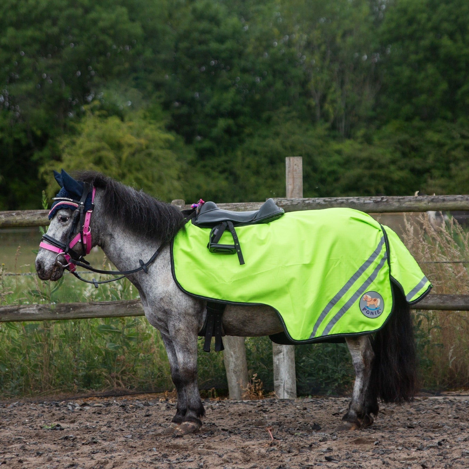 Picture of Gallop TROJAN/PONIE Retro Reflective Waterproof Exercise Sheet, Orange or Yellow