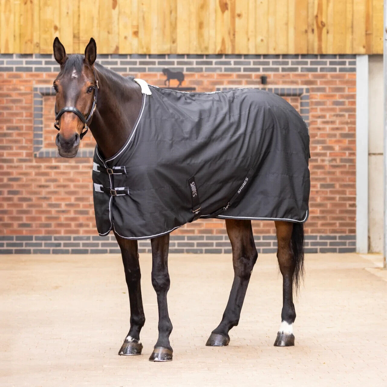 Picture of Shires Tempest Original 0G Lightweight Std Neck Horse Stable Rug, 4'0"-7'3"