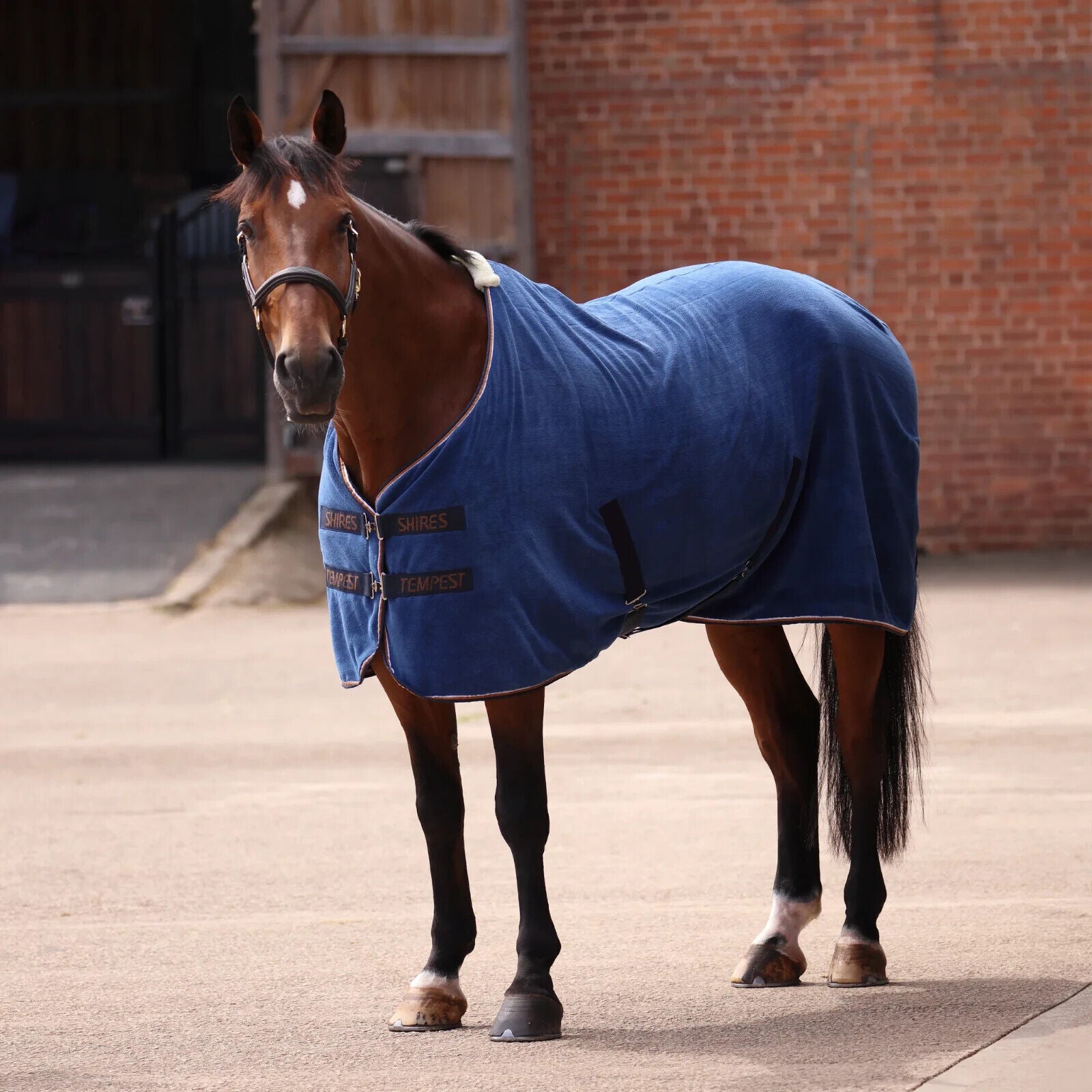 Picture of Shires Tempest Original Ultra Drying Horse Rug, Navy, 5'0" - 7'0"