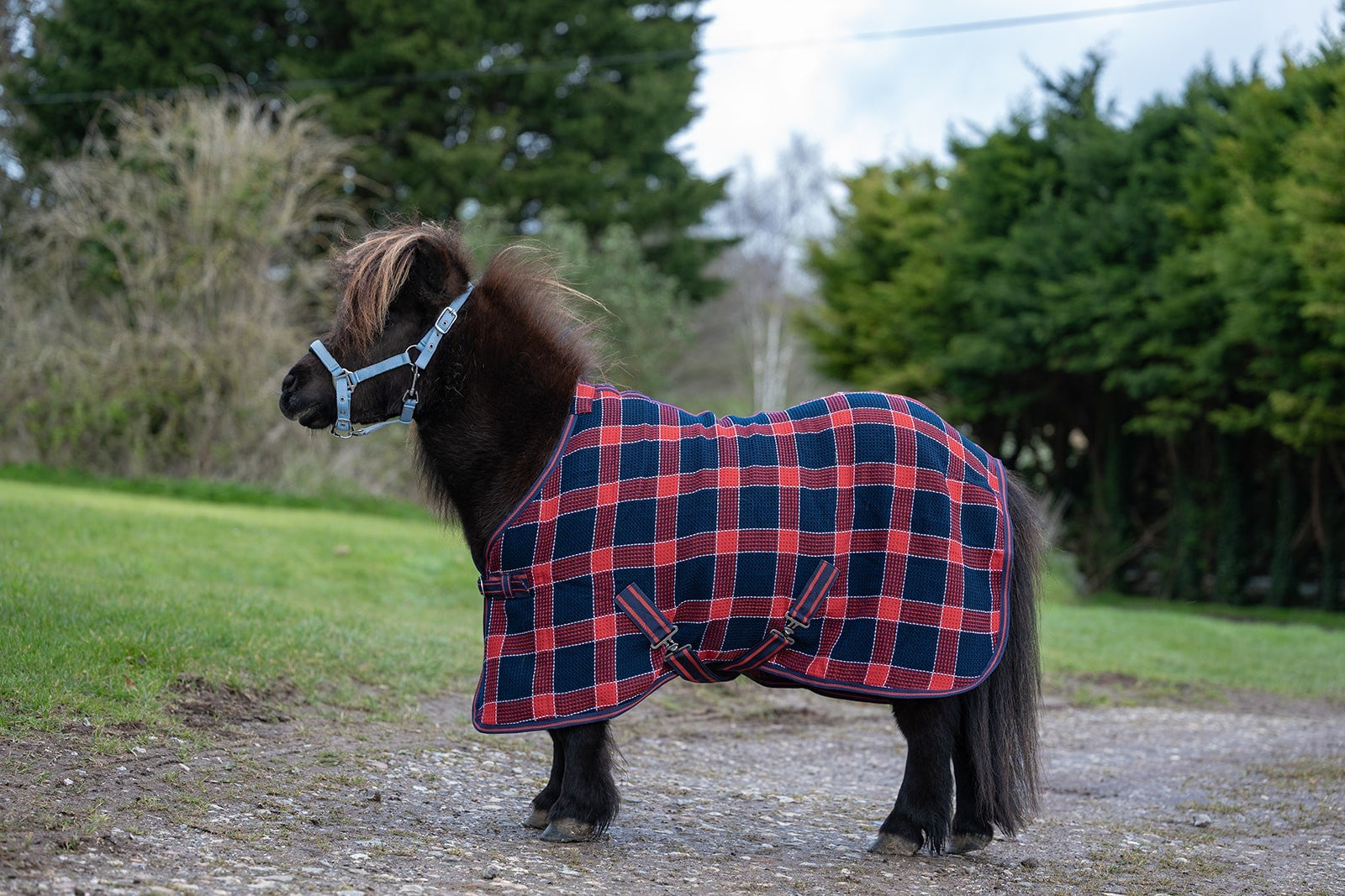 Picture of Rhinegold Mini Smart-Tec Waffle Cooler Rug, Std Neck, 3'6"-4'3"
