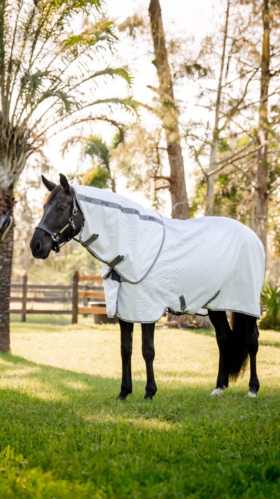 Picture of Horseware Amigo Aussie Allrounder Disc Fastening UV Fly Rug