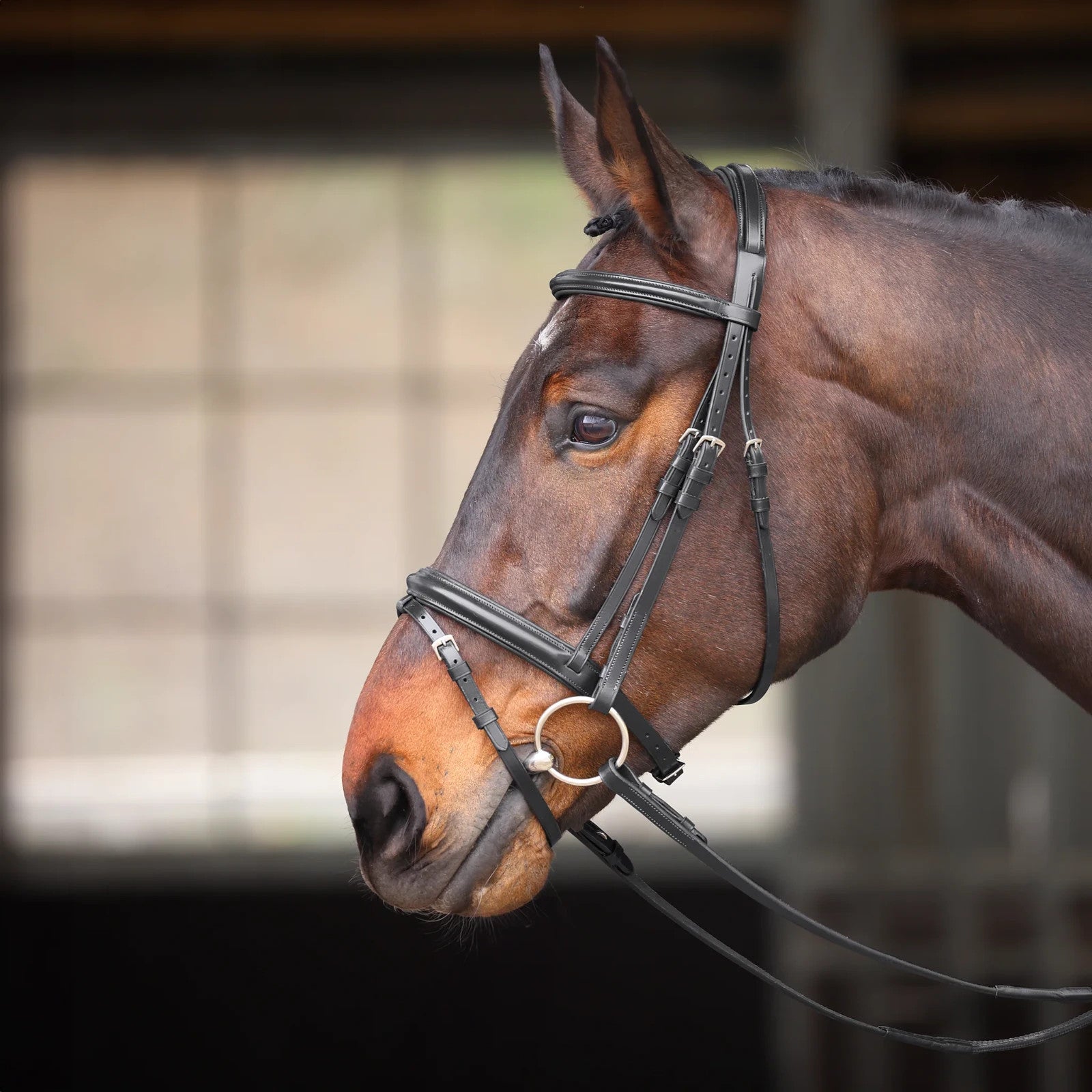 Picture of Shires Velociti GARA Comfort Fit Bridle, 2 Colours, 4 Sizes