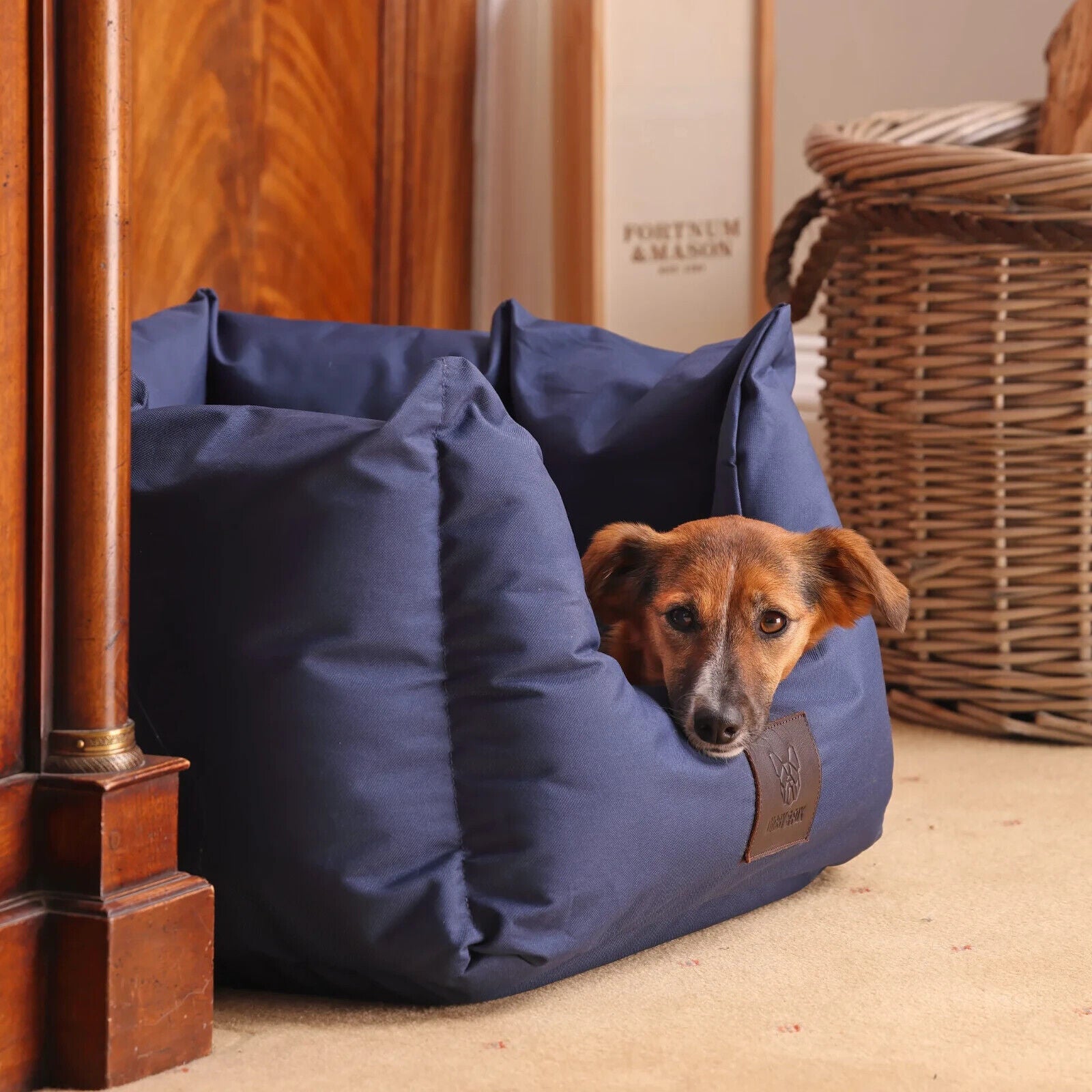 Picture of Digby & Fox Nest Dog Bed. 3 Colours, 3 Sizes