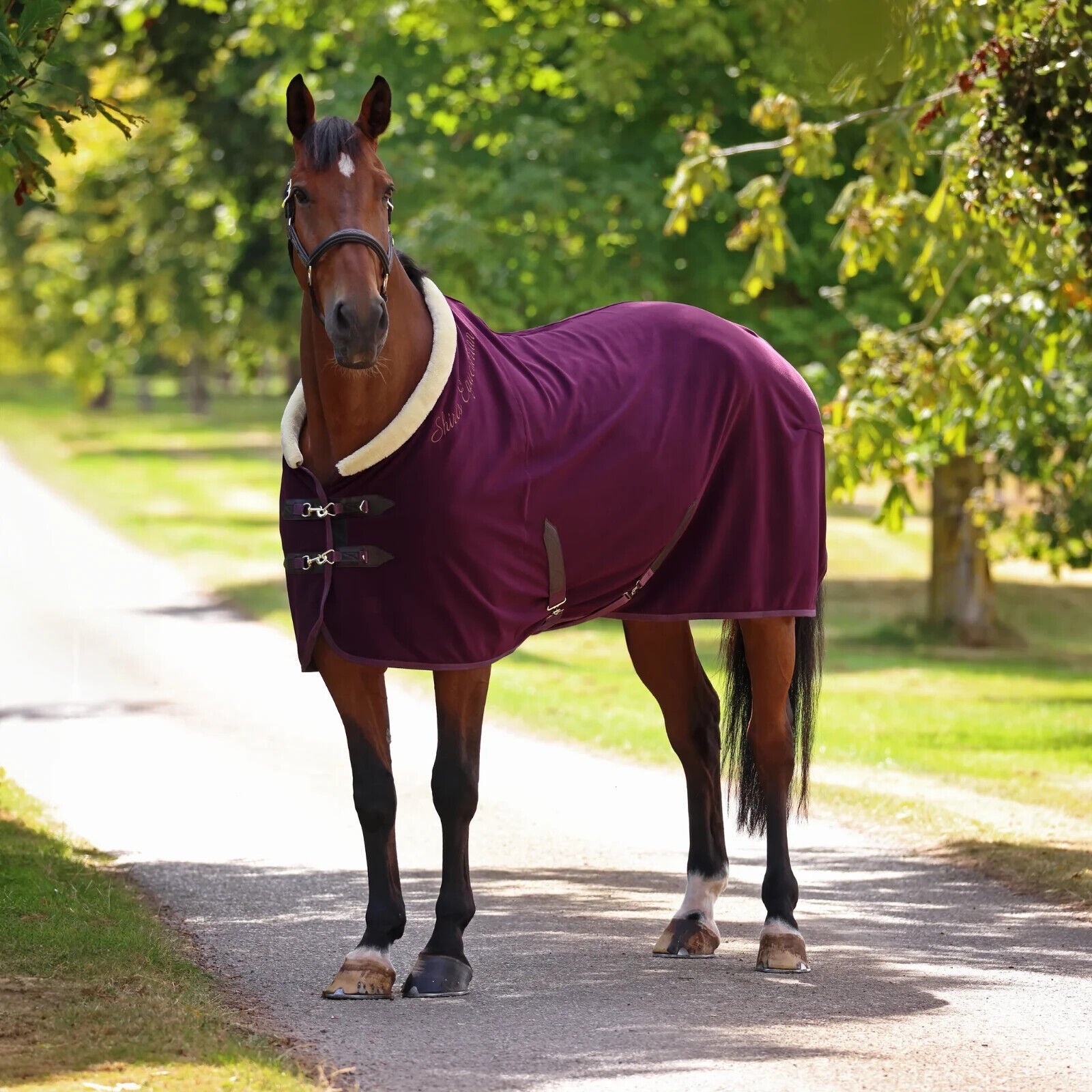 Picture of Shires Deluxe Fleece Rug, Horse Travel Rug, 3 Colours,  5'6" - 7'3"