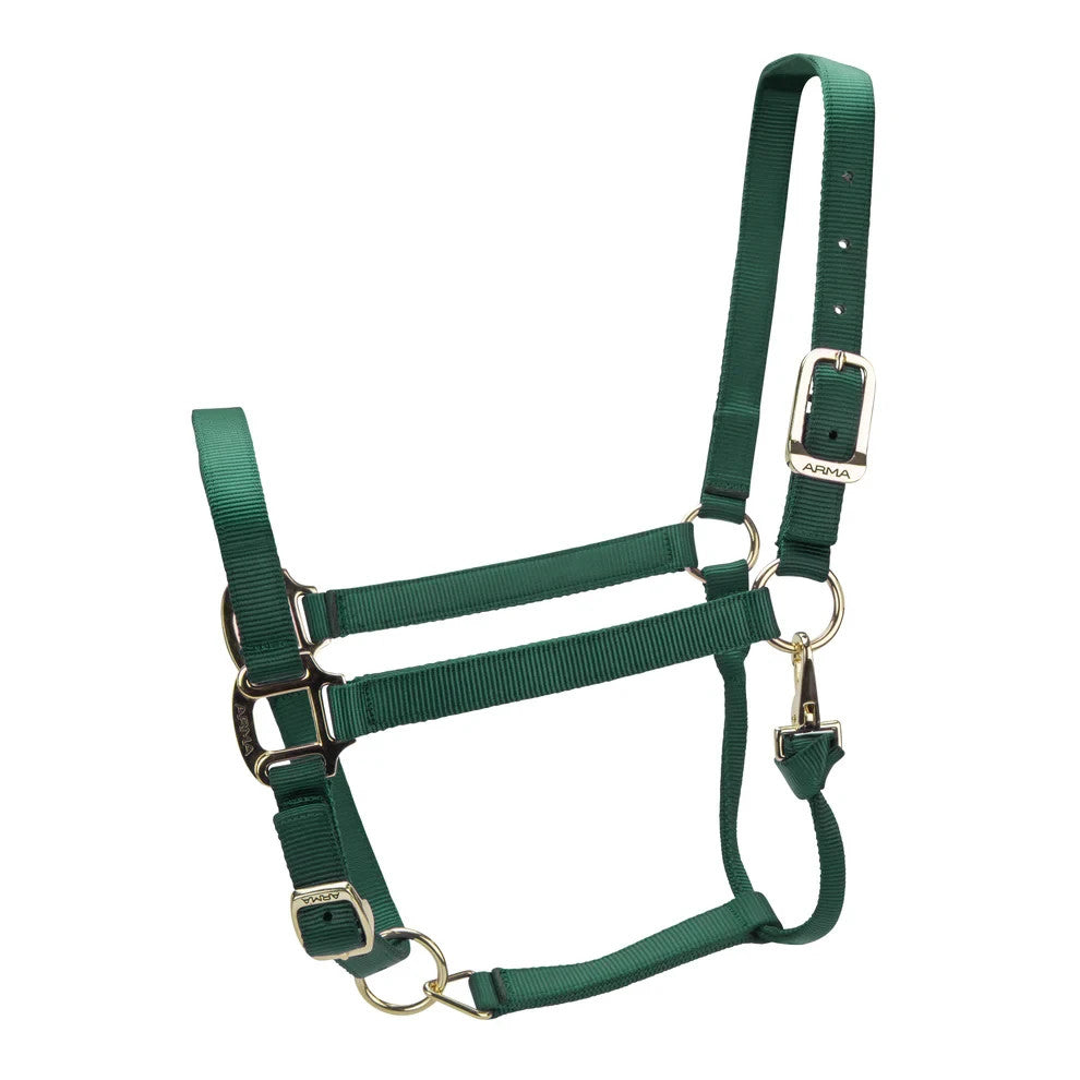 Picture of Shires ARMA Premium Adjustable Headcollar, 10 Colours, 4 Sizes