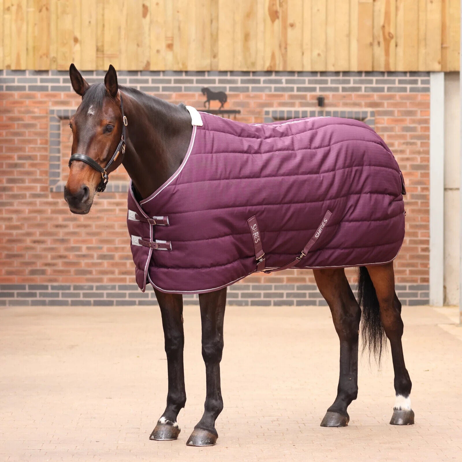 Picture of Shires Tempest Original 300G Heavyweight Standard Neck Horse Stable Rug,4'0-7'3