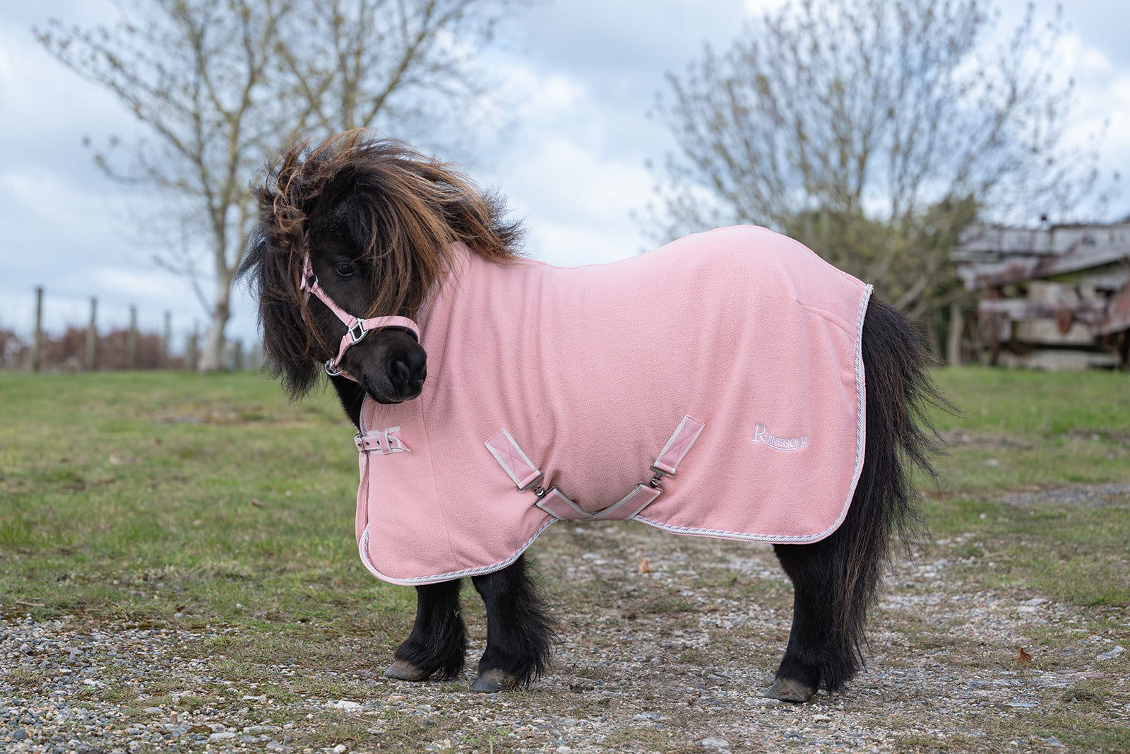 Picture of Rhinegold Mini Sorbet Fleece Rugs, Std Neck, 3 Colours,  3'6"-4'3"