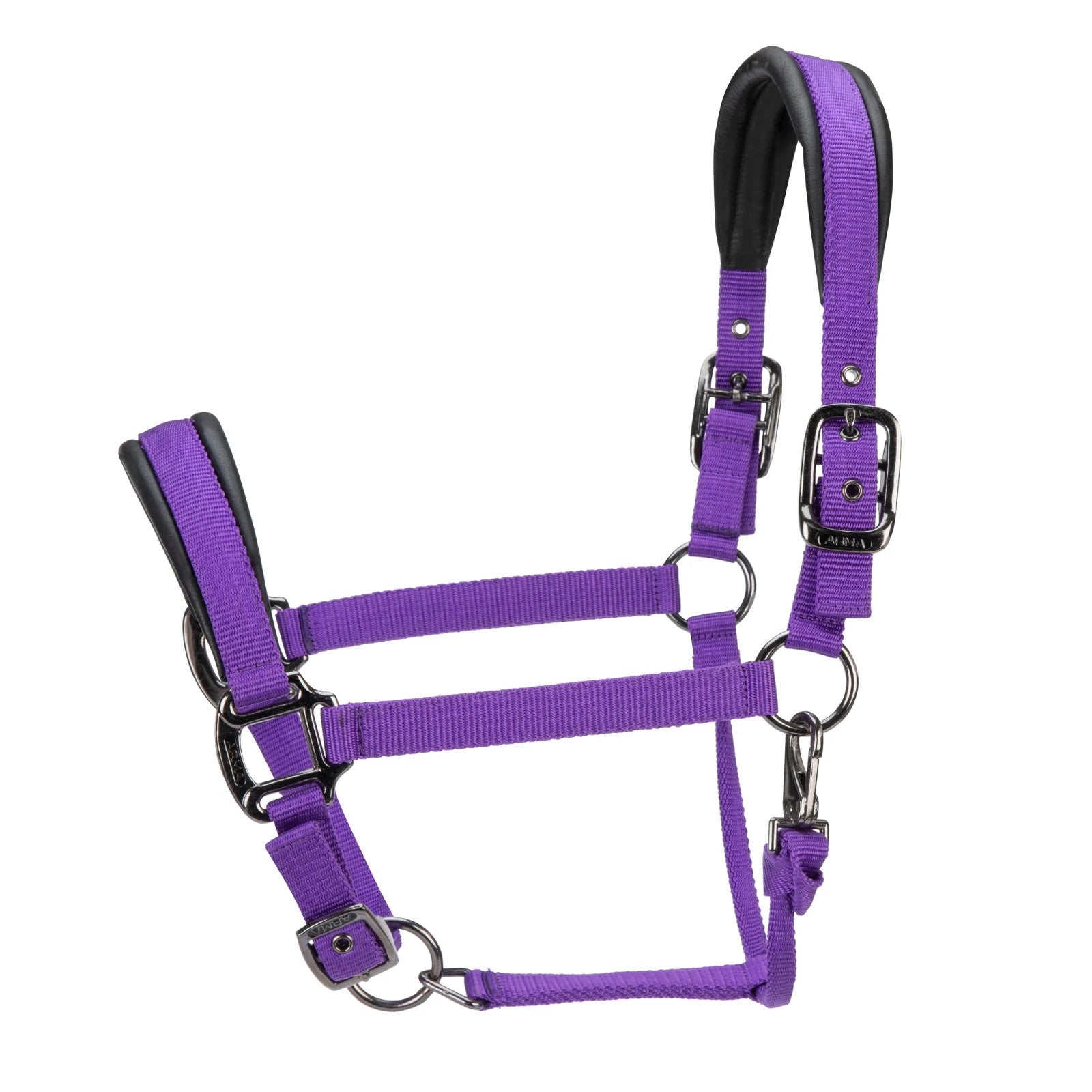 Picture of Shires ARMA Pro Padded Headcollar, 10 Colours, 4 Sizes