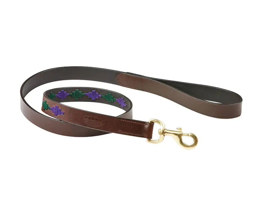 Picture of Weatherbeeta Polo Leather Dog Lead, 5 Colours.