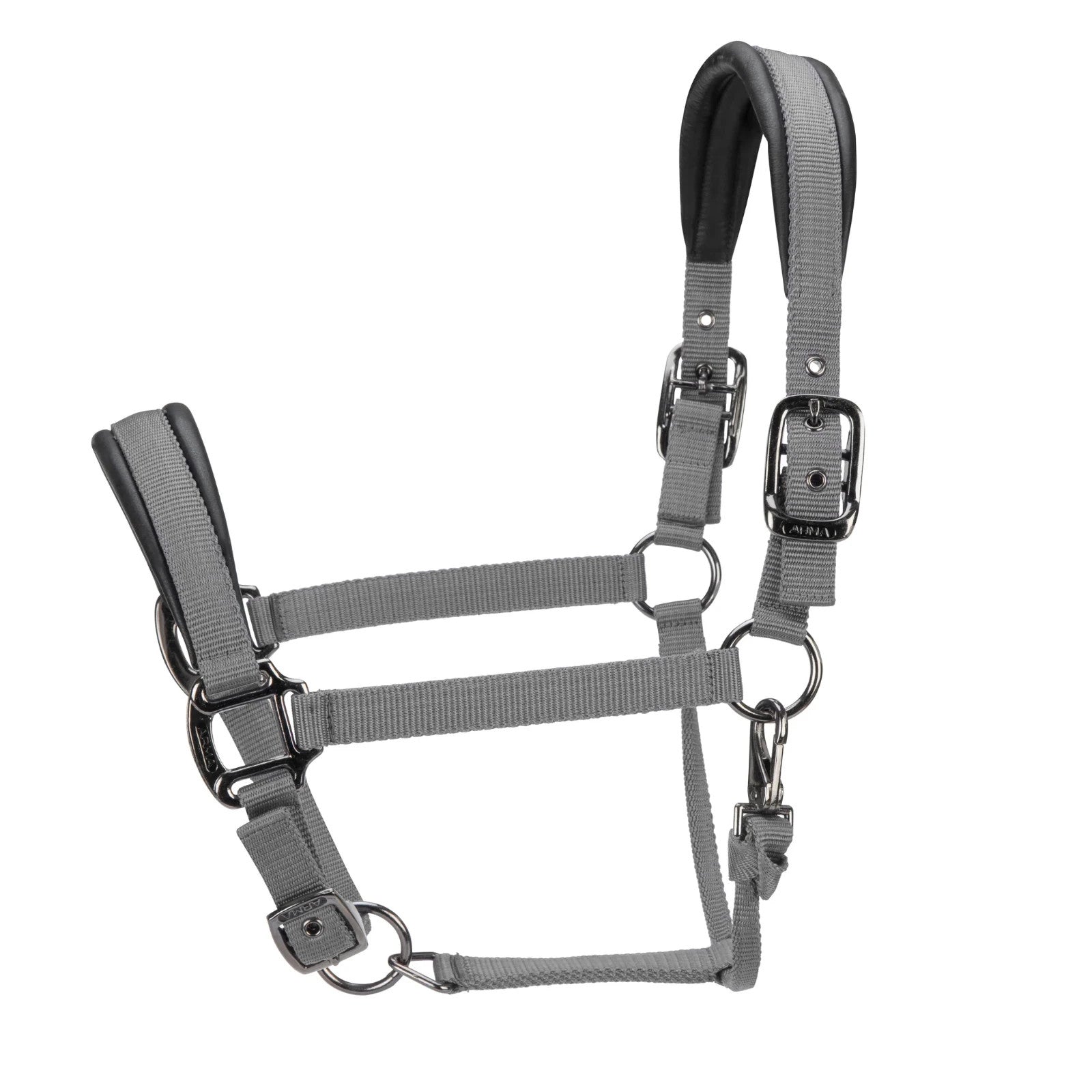 Picture of Shires ARMA Pro Padded Headcollar, 10 Colours, 4 Sizes