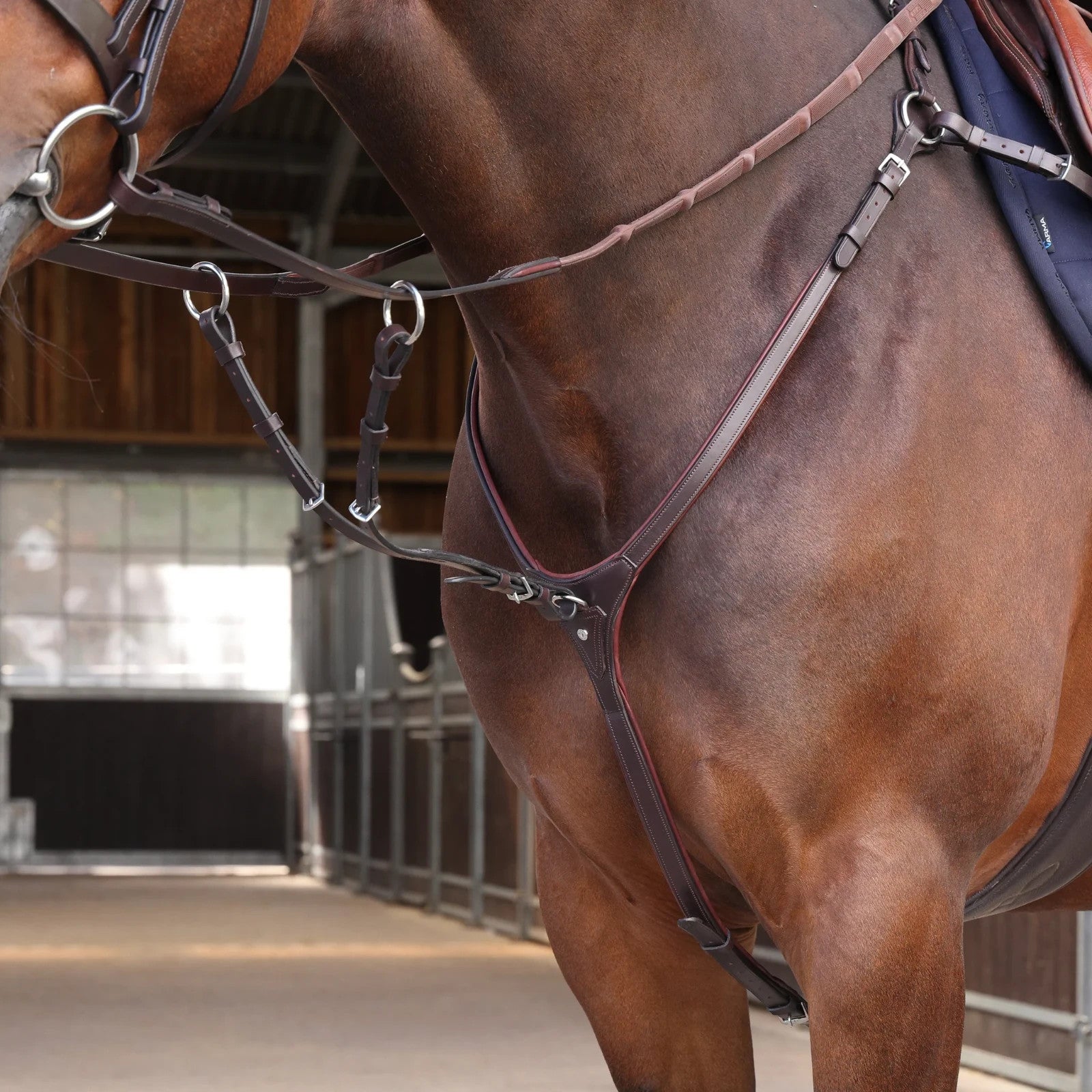 Picture of Shires Velociti LUSSO Elite Close Contact Breastplate, Black / Havana, 4 Sizes