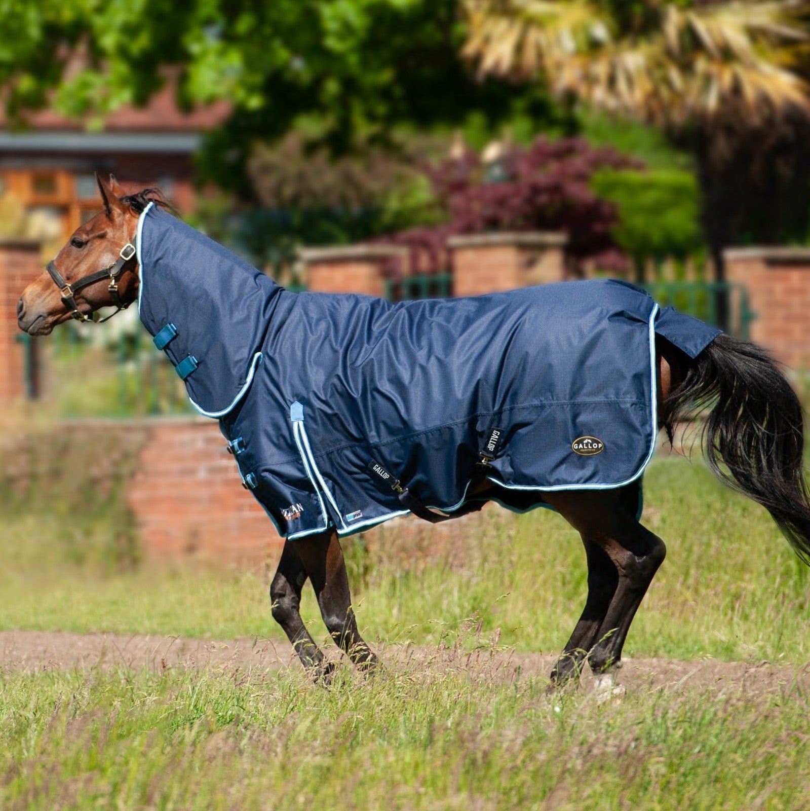Picture of Gallop Trojan Duraproof 350g Horse Turnout Rug, Heavyweight Full Neck Combo Rug