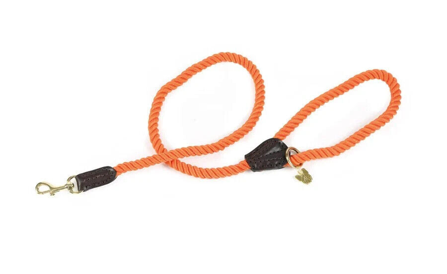 Picture of Digby and Fox Rope Dog Lead, 8  Colours