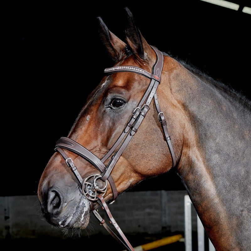 Picture of Whitaker Chicago Bling Flash Snaffle Bridle + Reins, 2 Colours, 3 Sizes