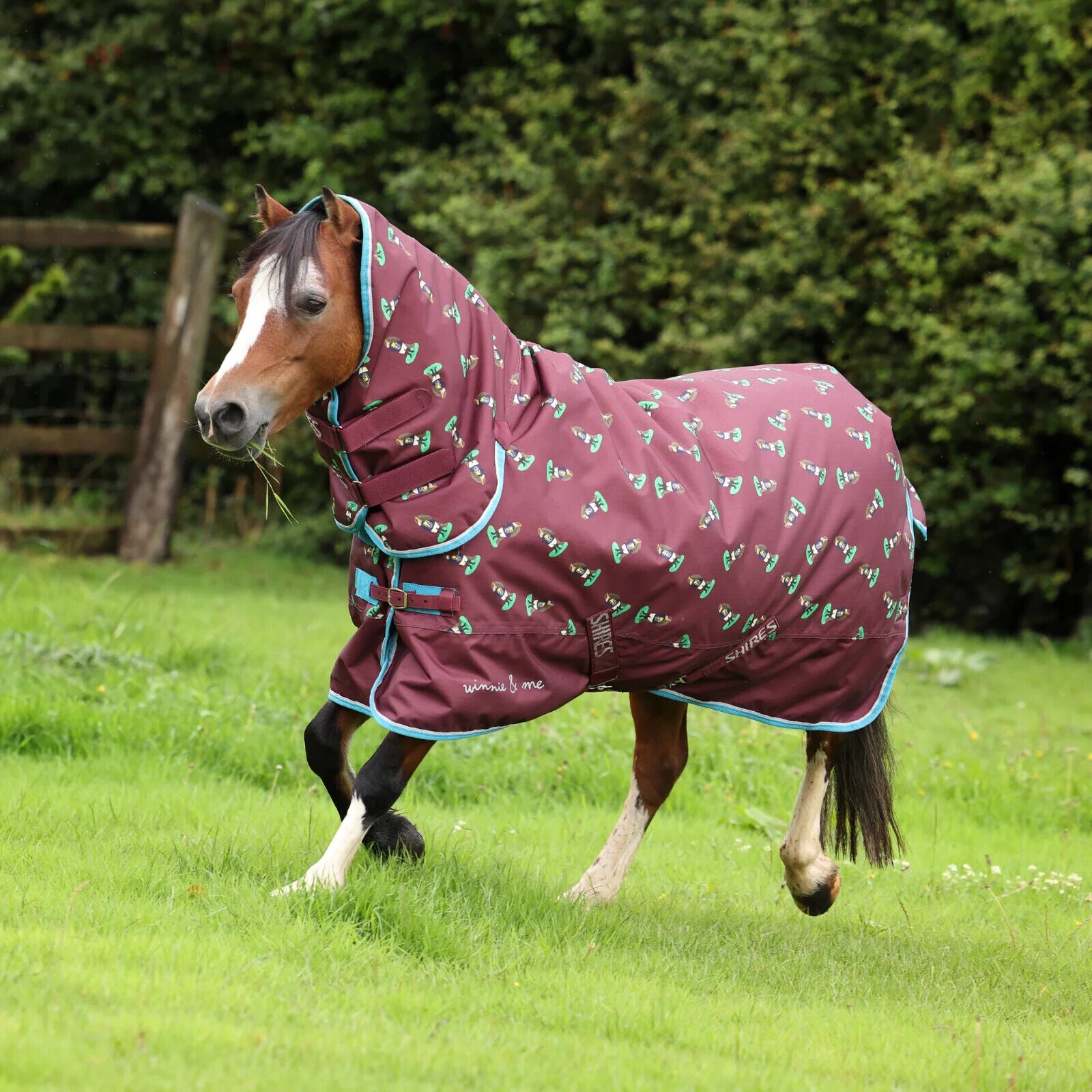 Picture of Shires Winnie & Me 200g Pony Turnout Rug, Mediumweight, 600 Denier, 3'6" - 5'3",