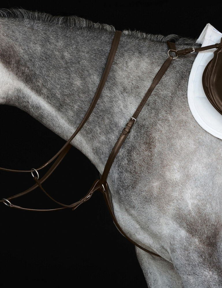 Picture of Collegiate Hunter Breastplate IV, Black, Brown, 3 Sizes.