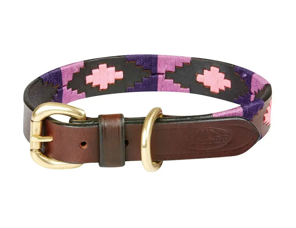 Picture of Weatherbeeta Polo Leather Dog Collar, 5 Colours, 6 Sizes