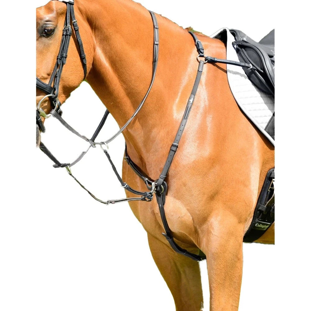 Picture of Collegiate Comfitec Opulux 3-Point Padded Raised Breastplate+Running Attachments