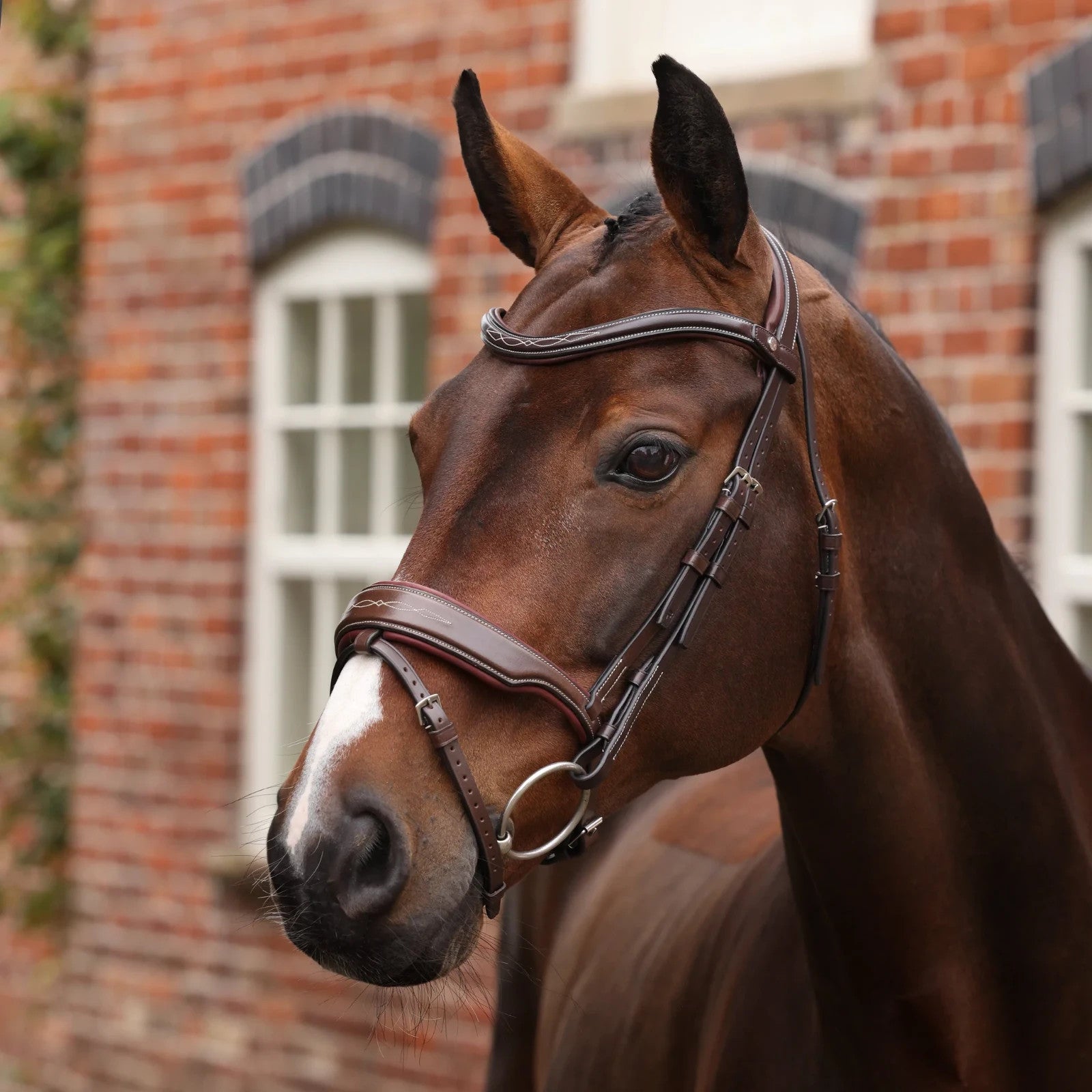 Picture of Shires Velociti LUSSO Opus 180M Dressage Flash Bridle, Black / Havana, 4 Sizes