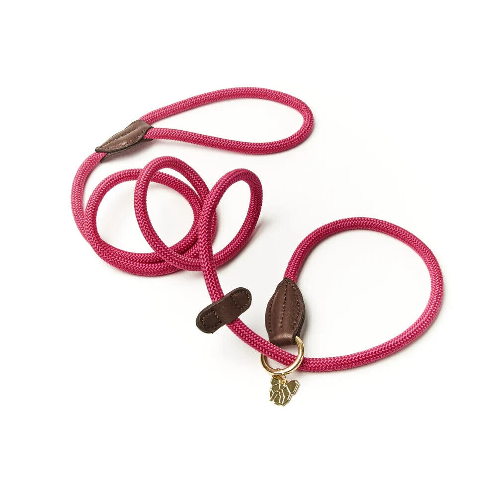 Picture of Digby and Fox Fine Rope Slip Dog Lead, 6  Colours