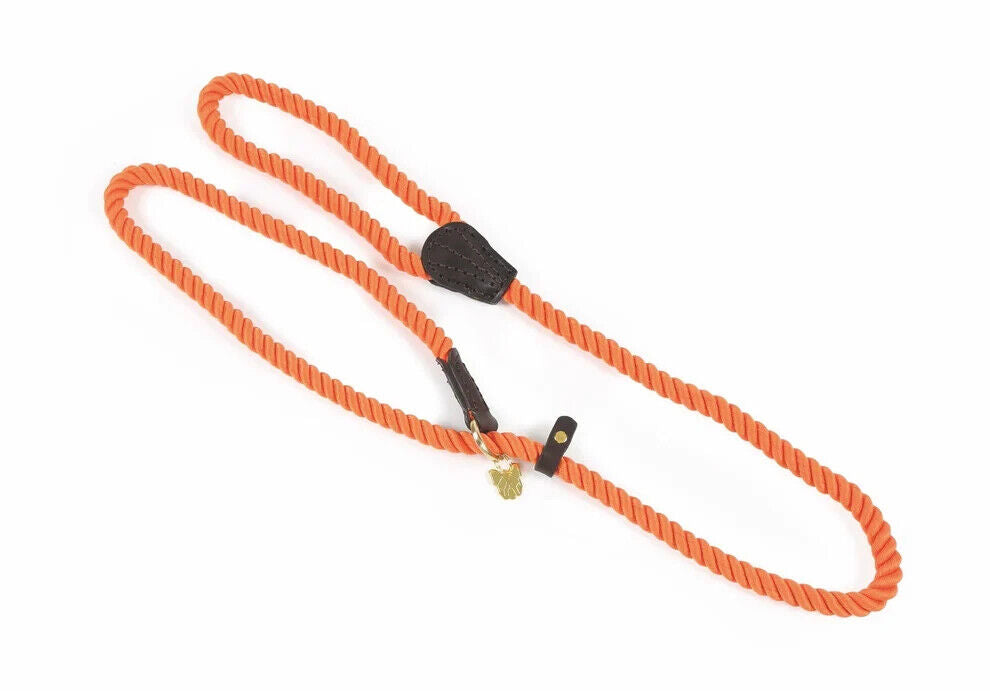 Picture of Digby and Fox Rope Slip Dog Lead, 8  Colours