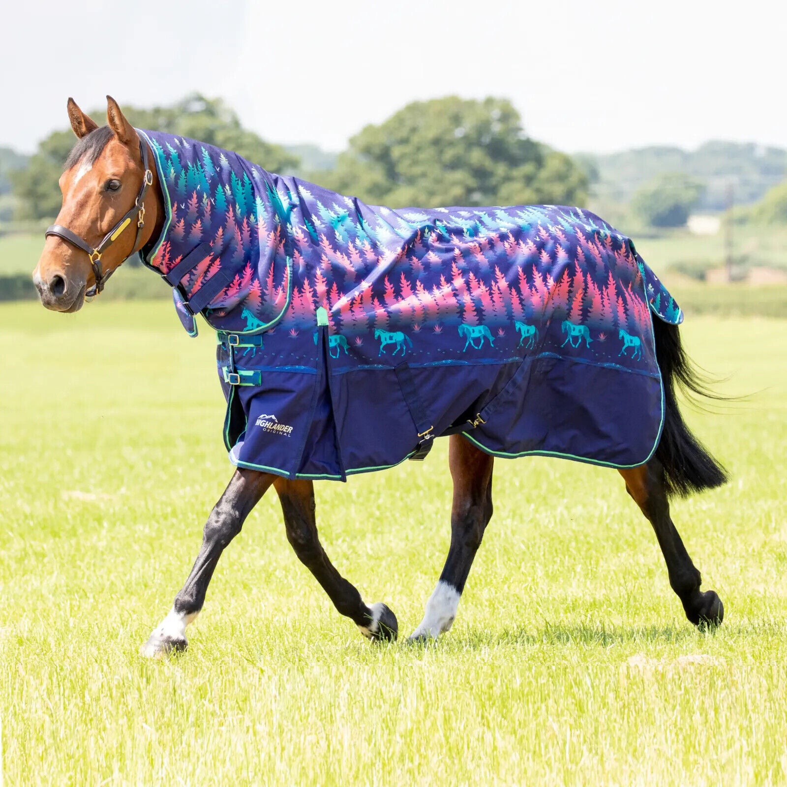 Picture of Shires Highlander 200g Horse/Pony Turnout Full Neck Combo Rug | 3 Colour Options