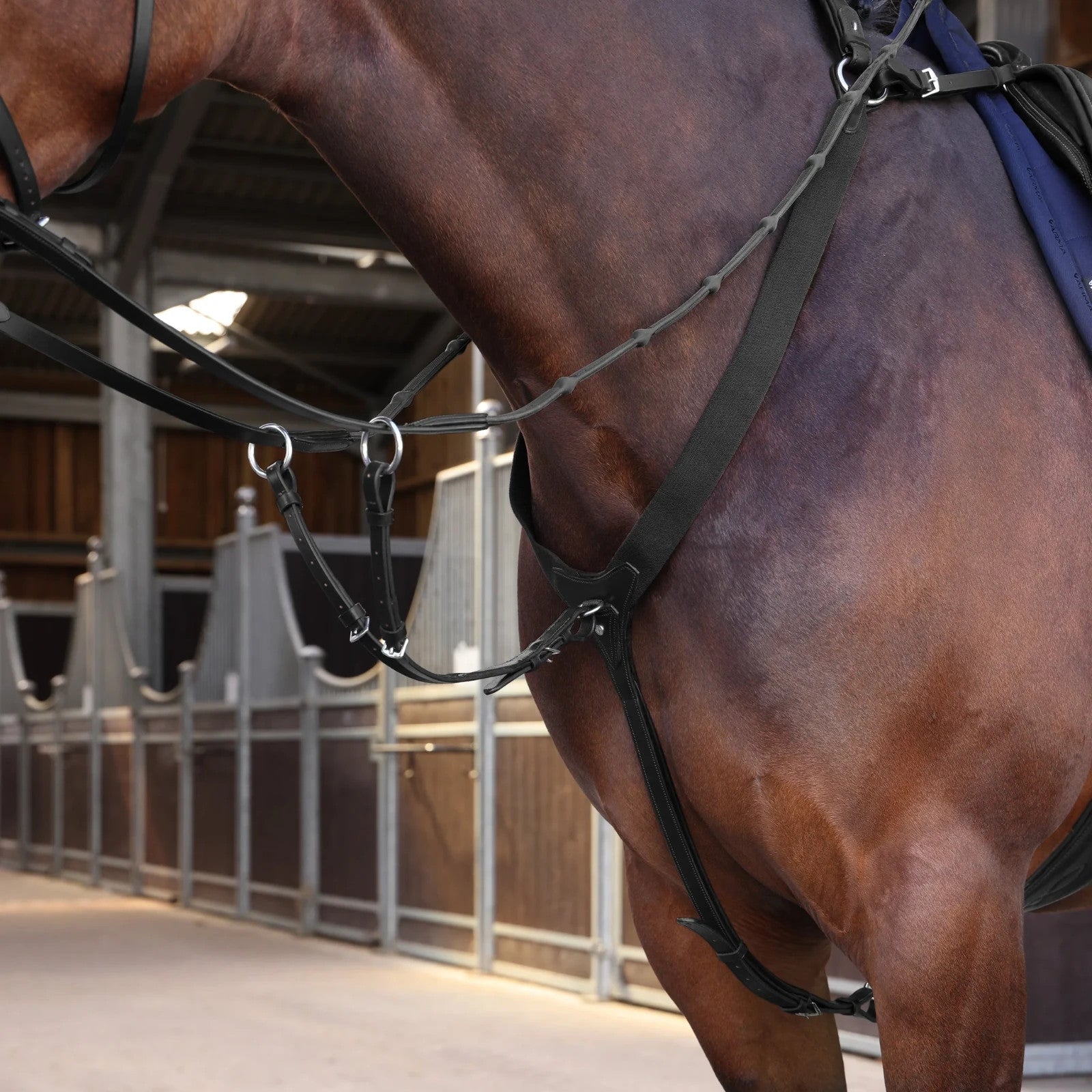 Picture of Shires Velociti LUSSO Elite Elastic Breastplate, Black / Havana, 4 Sizes