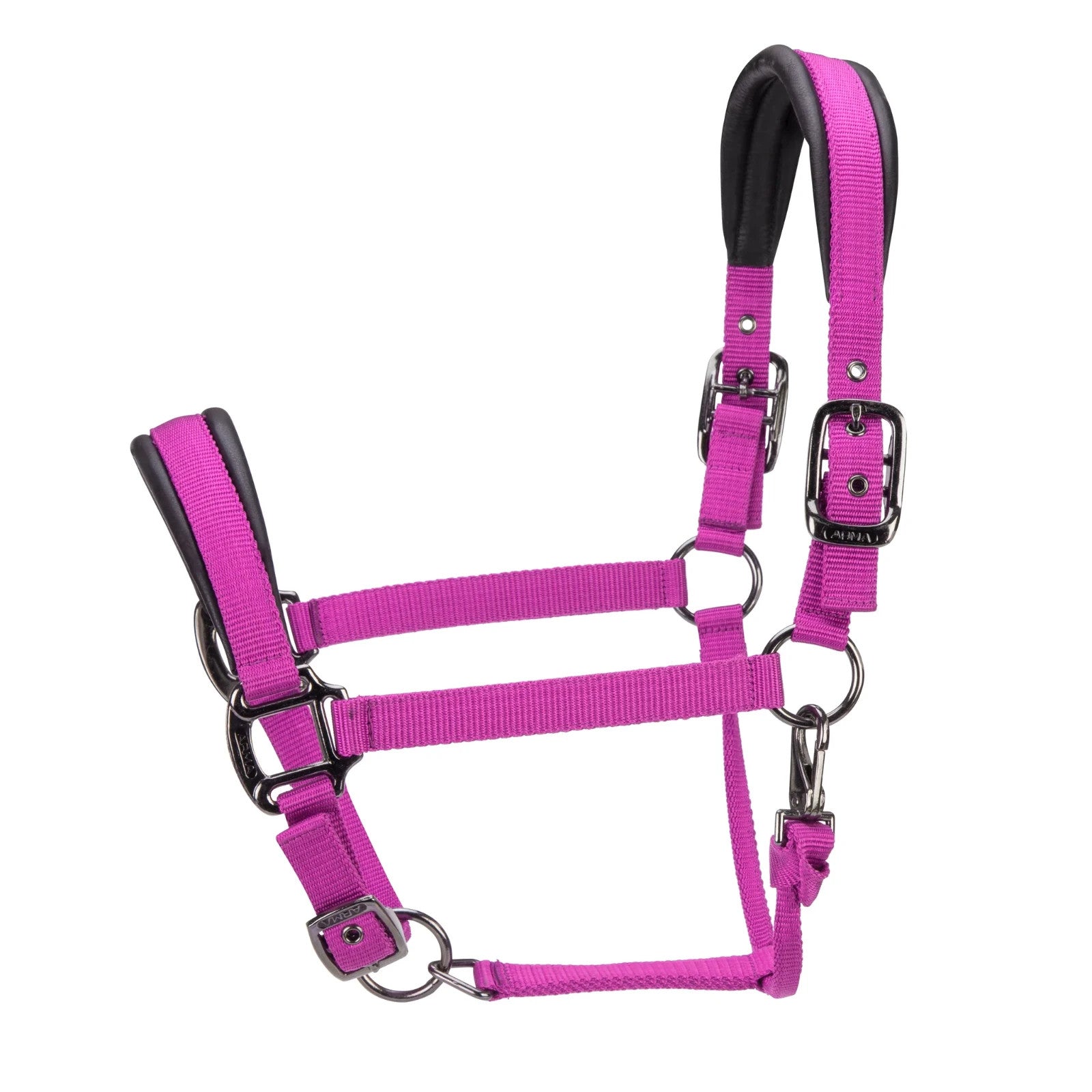 Picture of Shires ARMA Pro Padded Headcollar, 10 Colours, 4 Sizes