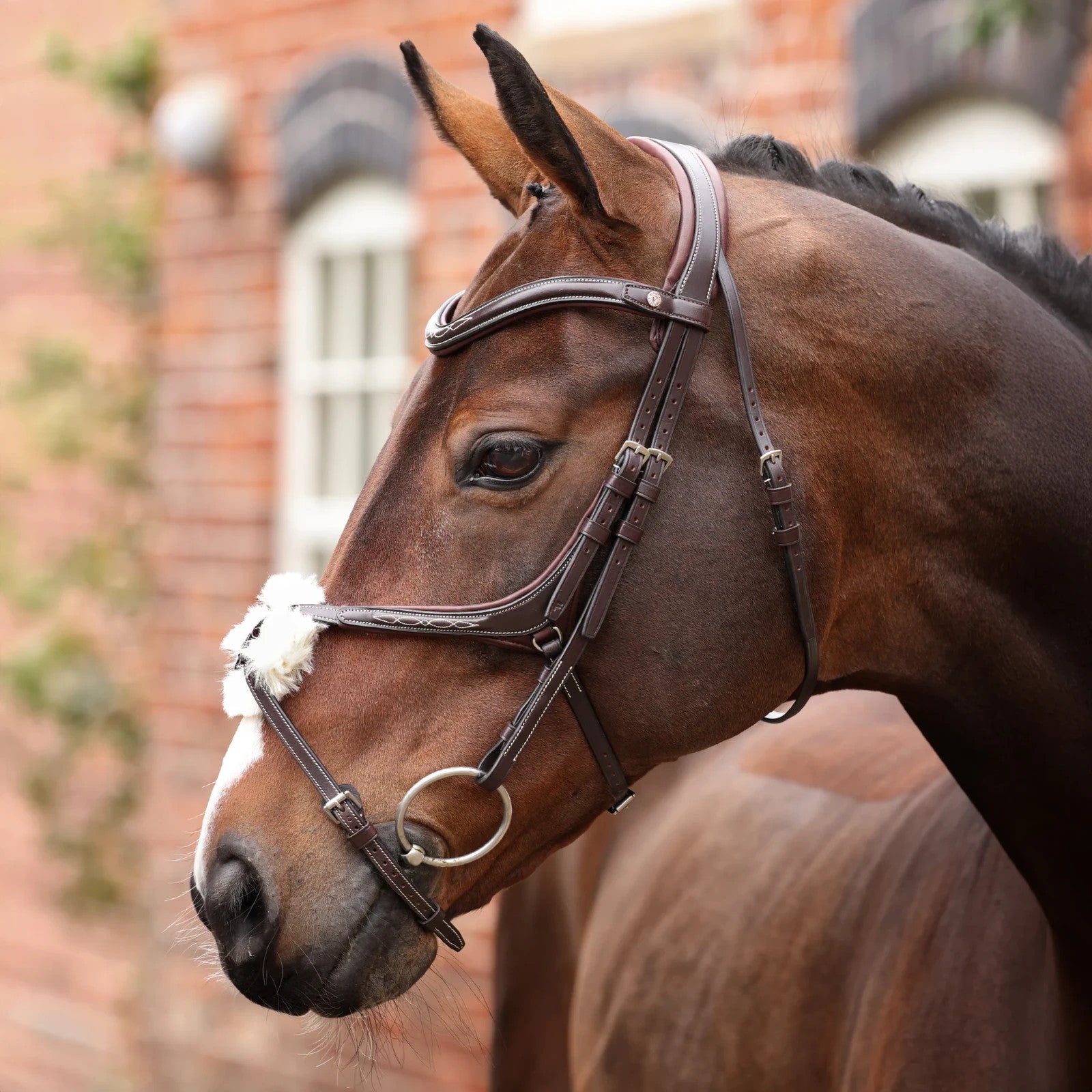 Picture of Shires Velociti LUSSO Opus 180M Grackle Bridle, Black / Havana, 4 Sizes