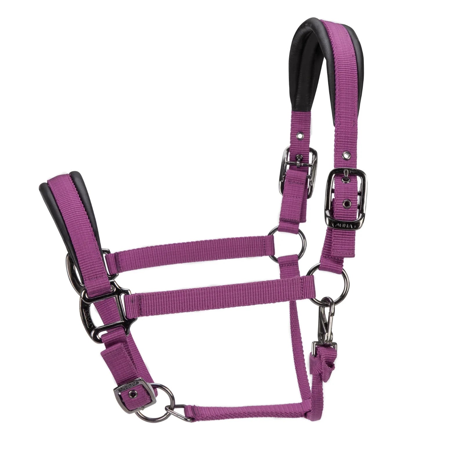 Picture of Shires ARMA Pro Padded Headcollar, 10 Colours, 4 Sizes