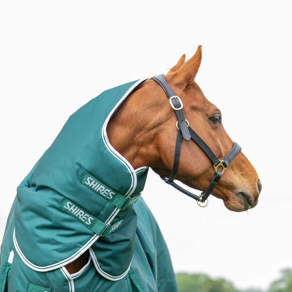 Picture of Shires Highlander Original 300g Mediumweight Horse/Pony Turnout Neck Cover