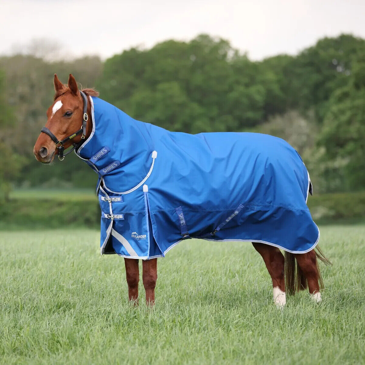 Picture of Shires Highlander 200g Horse/Pony Turnout Full Neck Combo Rug | 3 Colour Options