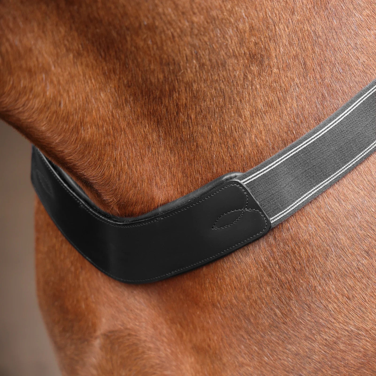 Picture of Shires Velociti Rapida Elastic Breastgirth, Black or Havana ,  4 Sizes