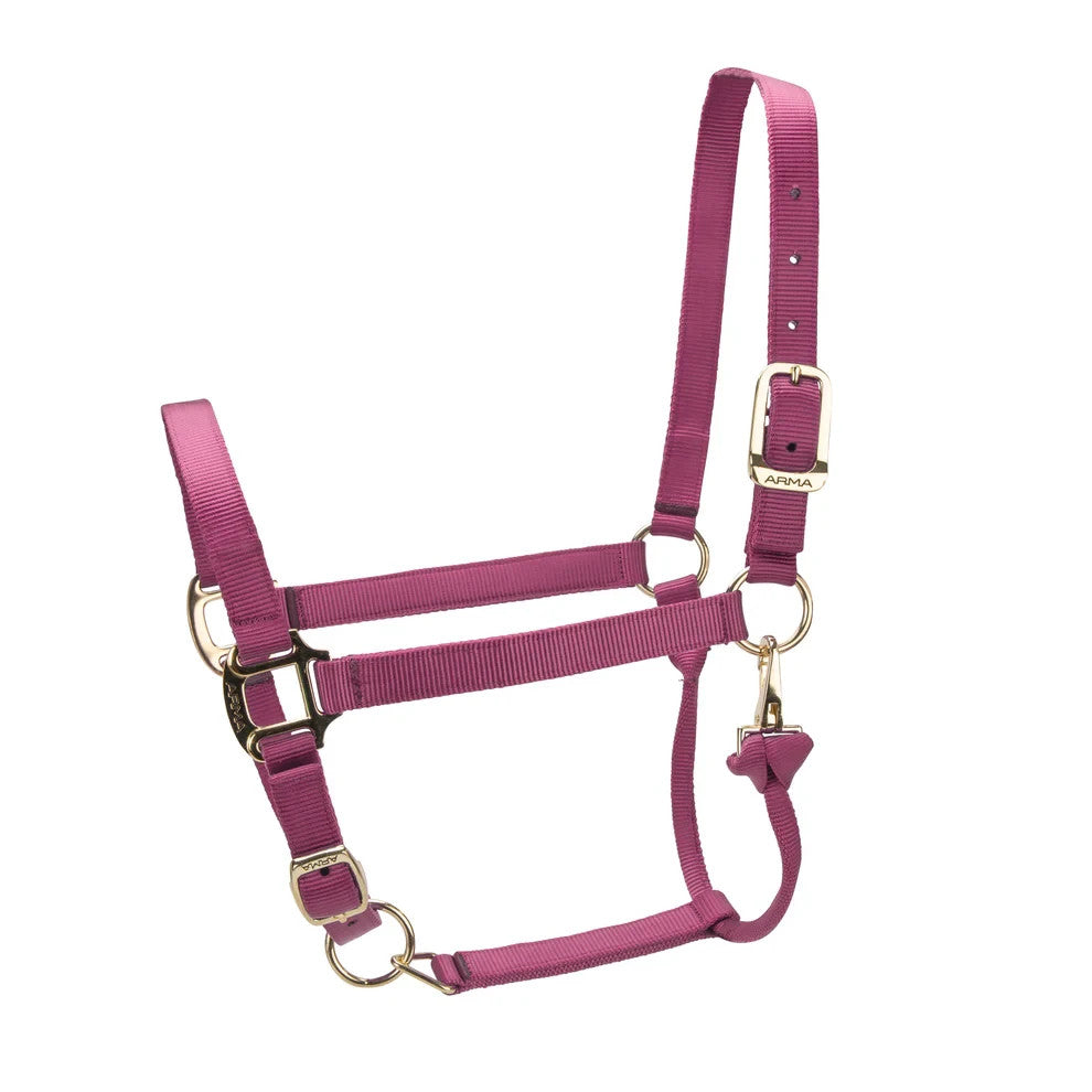 Picture of Shires ARMA Premium Adjustable Headcollar, 10 Colours, 4 Sizes