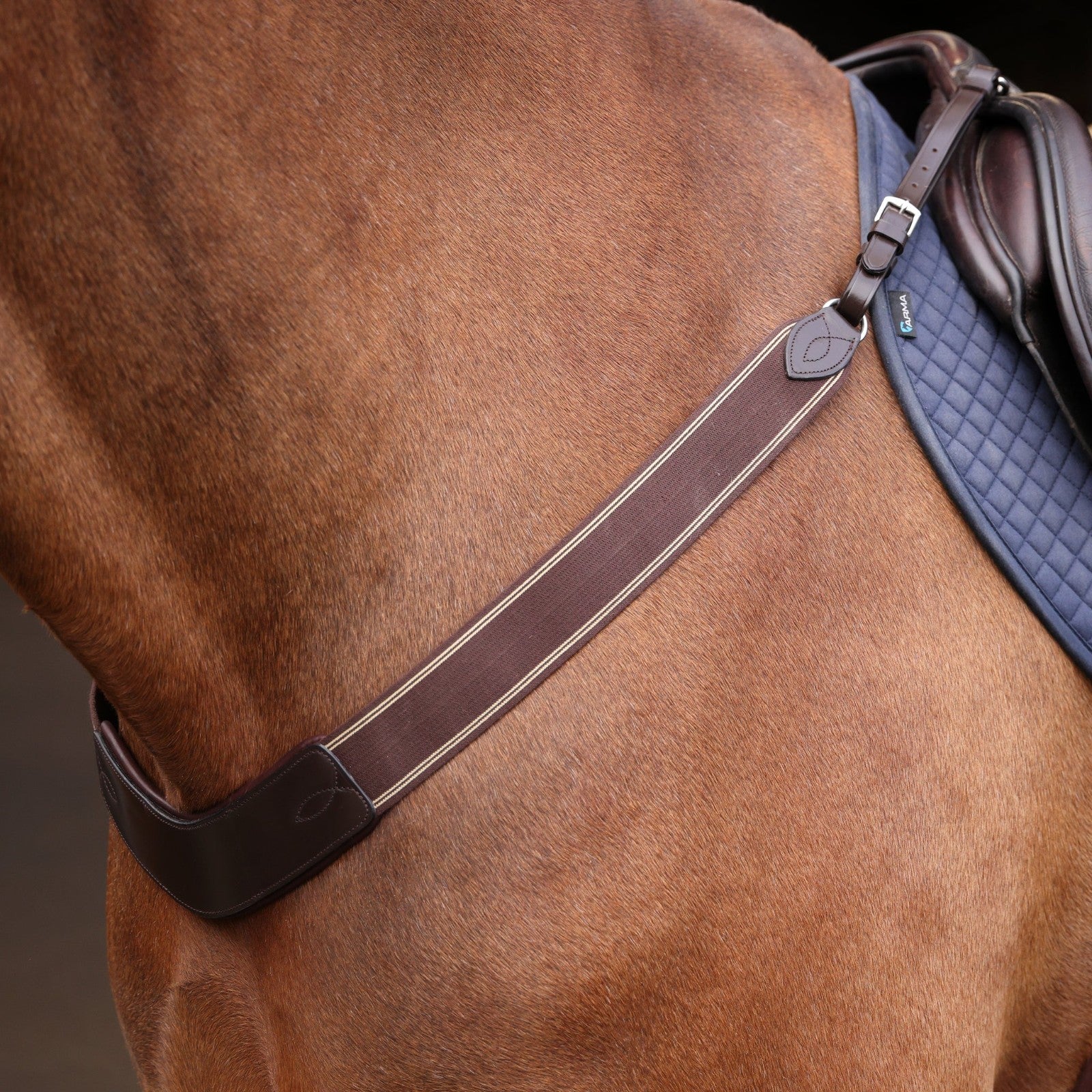 Picture of Shires Velociti Rapida Elastic Breastgirth, Black or Havana ,  4 Sizes