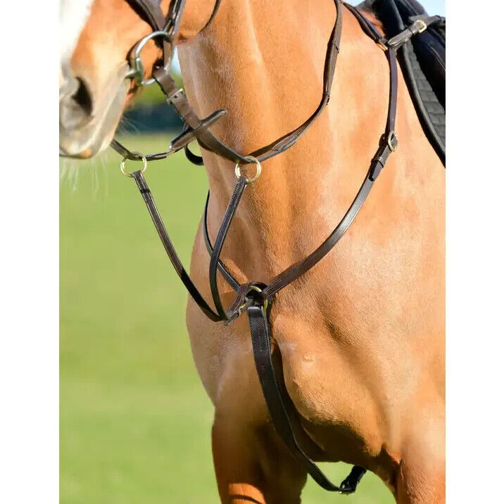 Picture of Kincade Classic 3 Point Breastplate With Running Martingale, Black or Havana