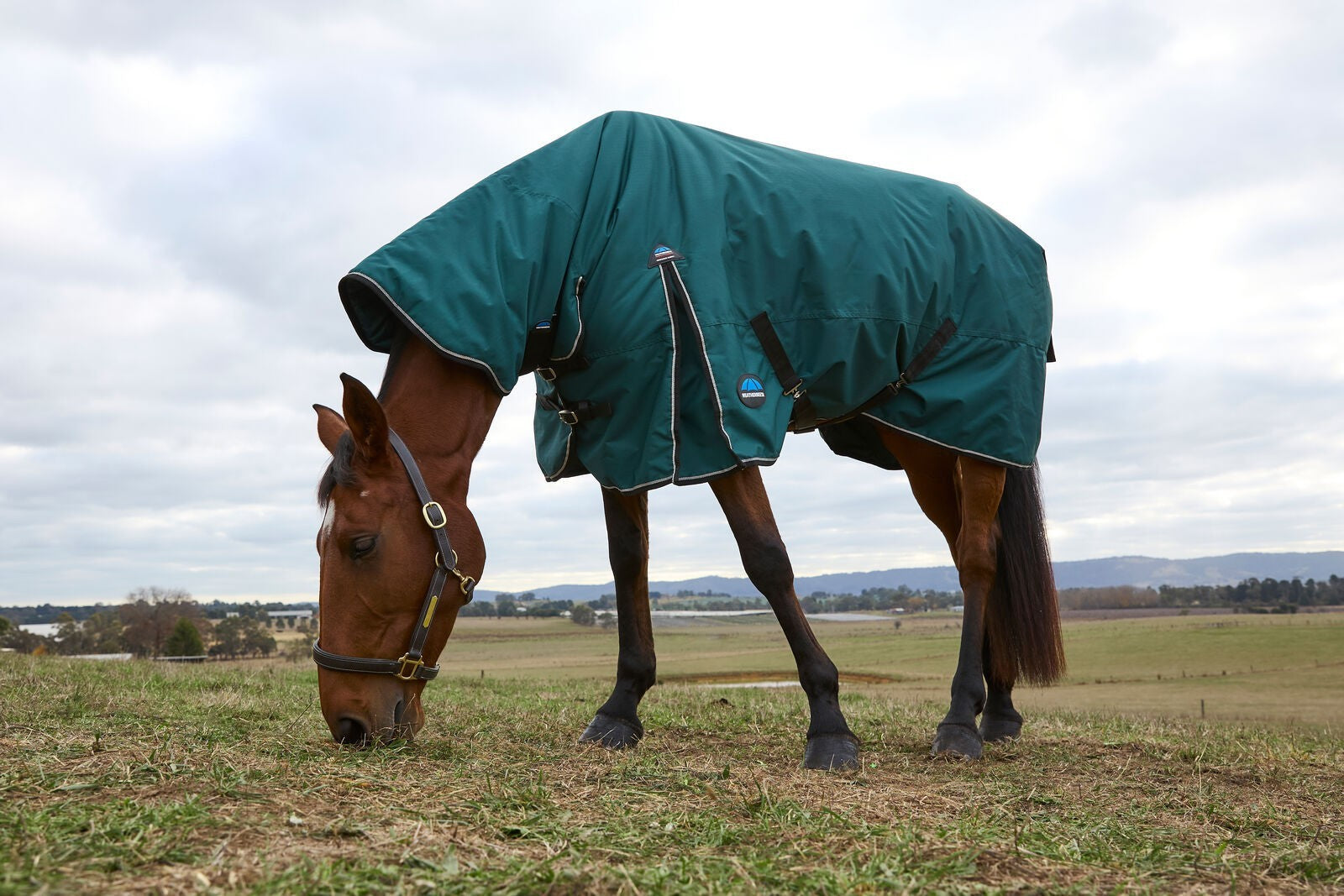 Picture of WEATHERBEETA COMFITEC CLASSIC 220G HORSE TURNOUT RUG, COMBO FULL NECK.