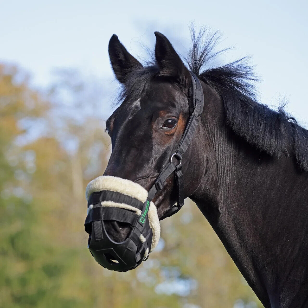 Picture of Shires Freegraze Deluxe Airflow Grazing Grass Muzzle,  Horse Pony Fleece Comfort
