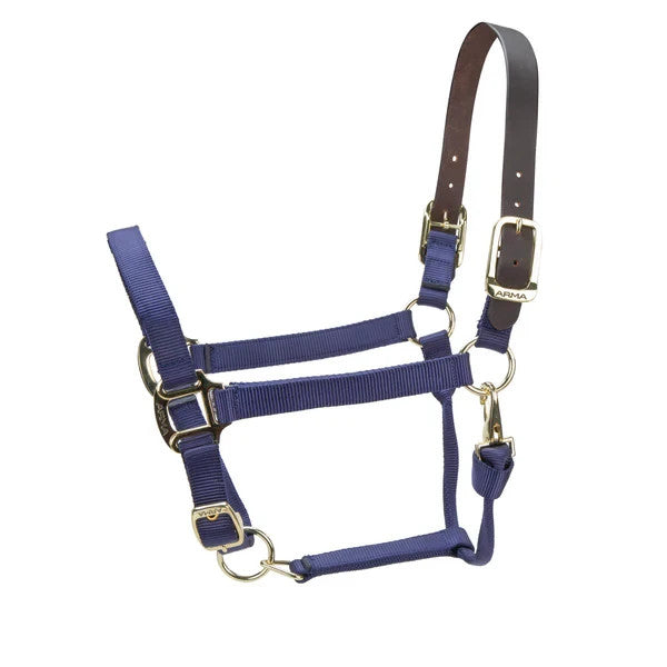 Picture of Shires ARMA Premium Adjustable FieldSafe Headcollar, 10 Colours, 4 Sizes