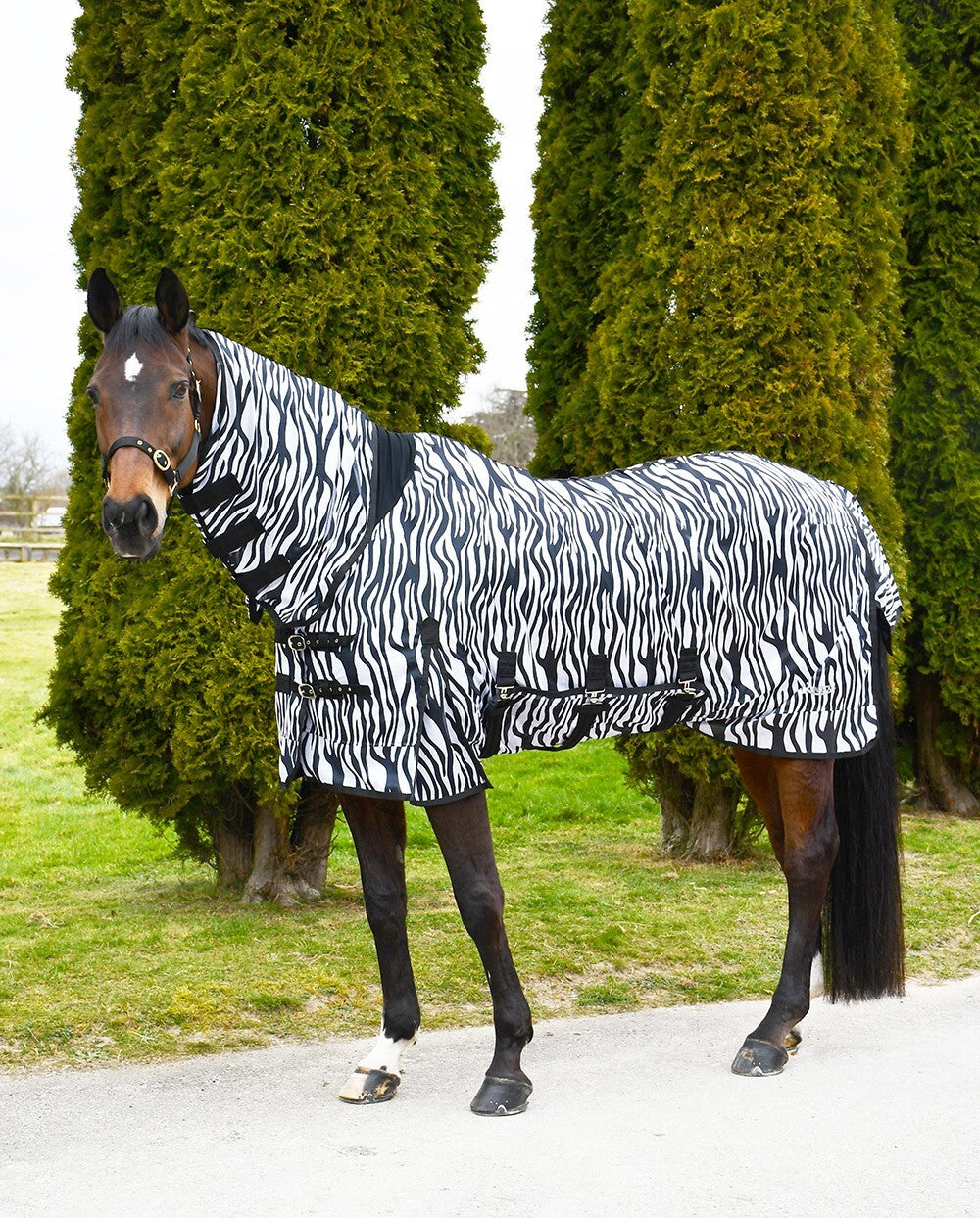 Picture of Rhinegold Africa Fly Horse Rug, Full Neck Combo, Belly Guard.