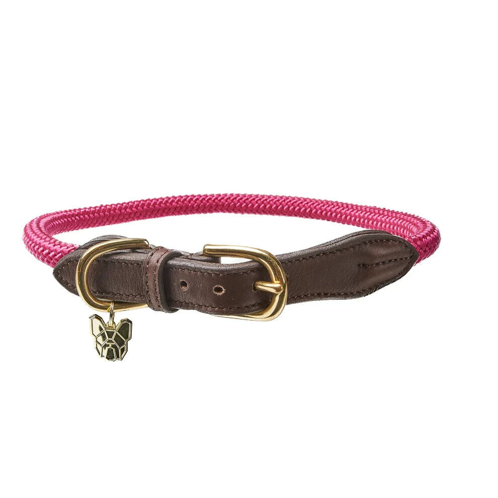 Picture of Shires Digby & Fox Fine Rope Dog Collar, 6 Sizes, 6 Colours