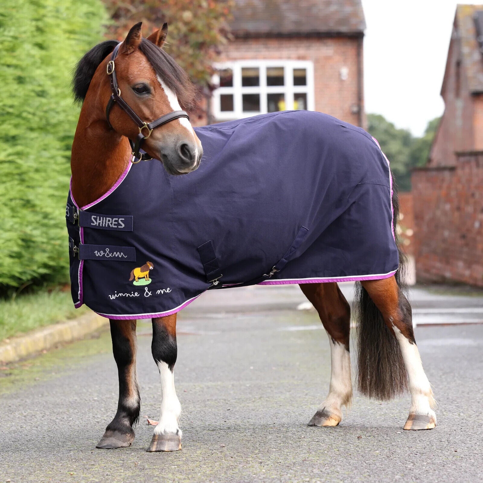 Picture of Shires Winnie & Me Stable Sheet, Travel Rug,  Pony,  3'6" - 5'3", Navy