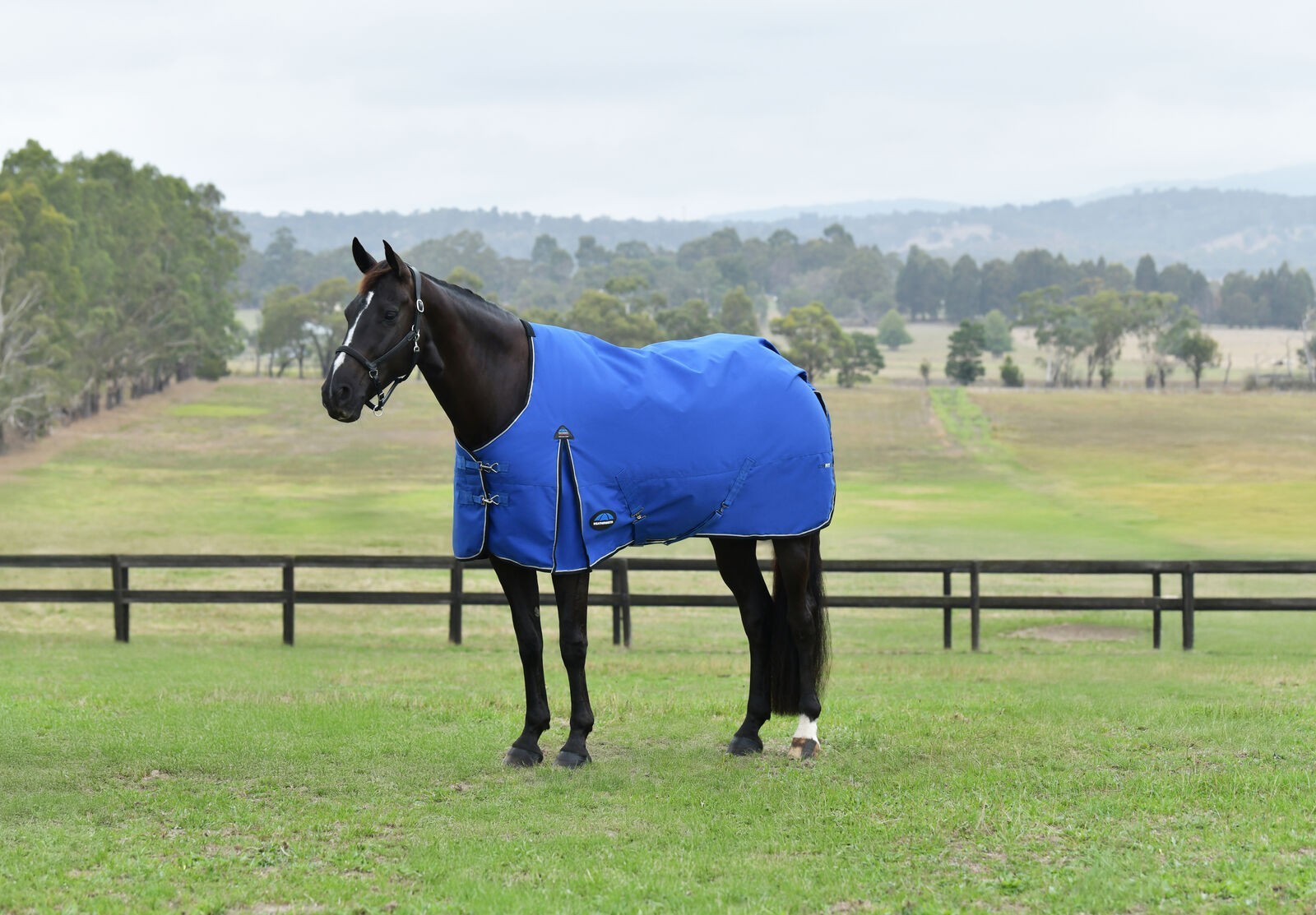 Picture of WEATHERBEETA COMFITEC ESSENTIAL 220G HORSE TURNOUT RUG, STANDARD NECK , 1200D