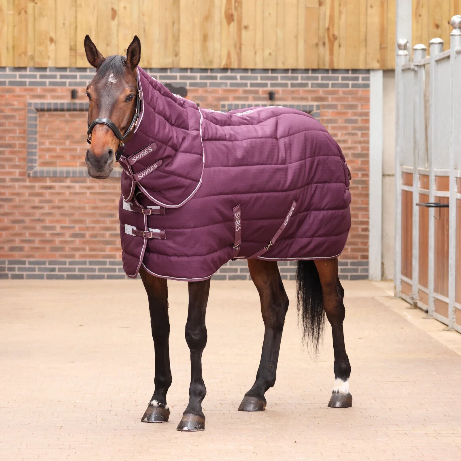 Picture of Shires Tempest Original 300G Heavyweight Stable Horse Rug And Neck Set, 4'0-7'3"