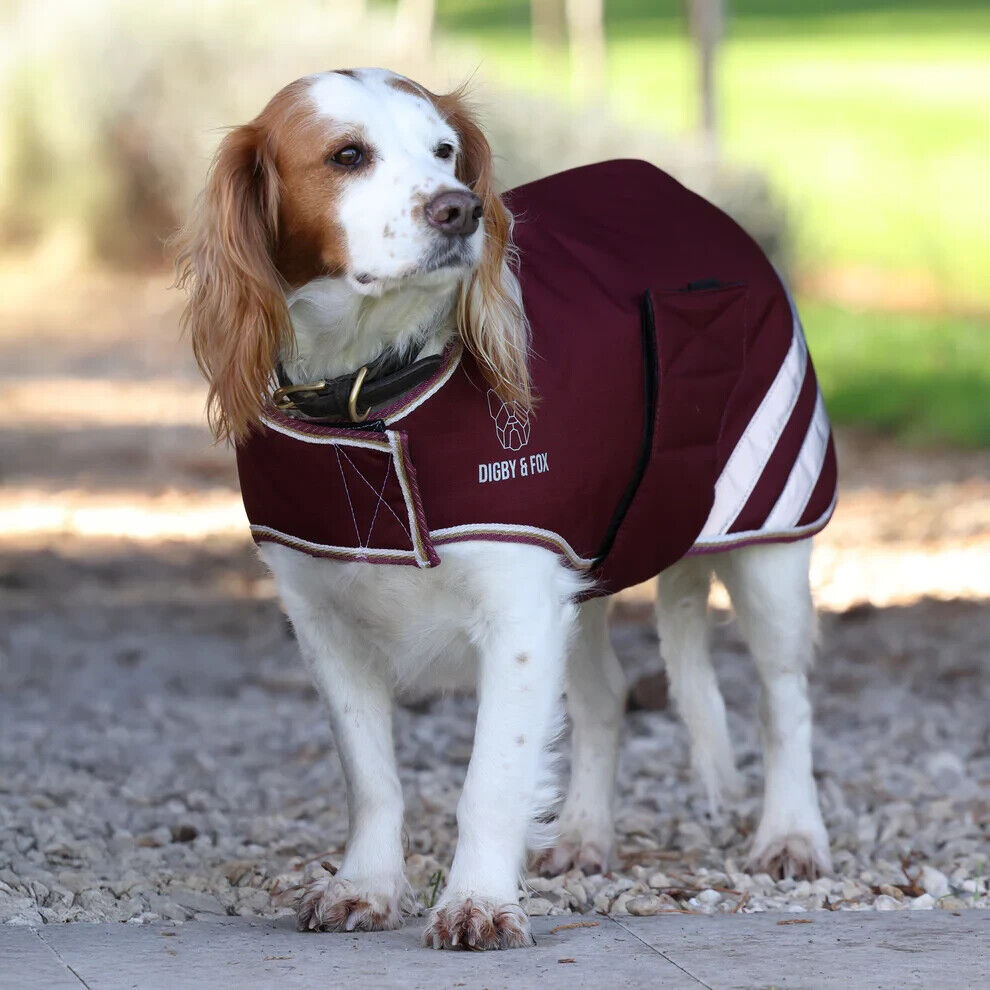 Picture of Shires Digby & Fox Waterproof Dog Coat, Insulated lining, Various Sizes/Colours