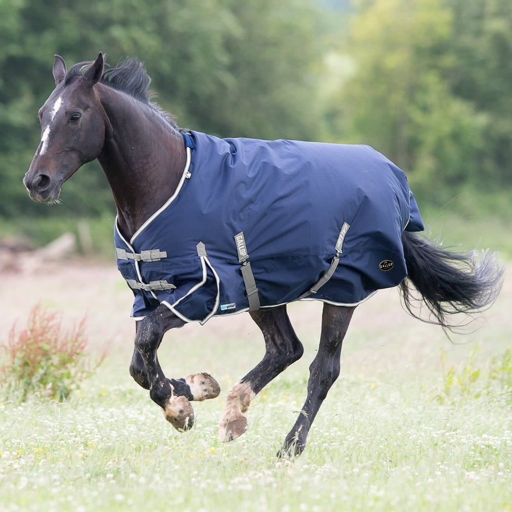 Picture of Gallop Trojan Duraproof 300g Horse Turnout Rug, Std Neck heavyweight Rug